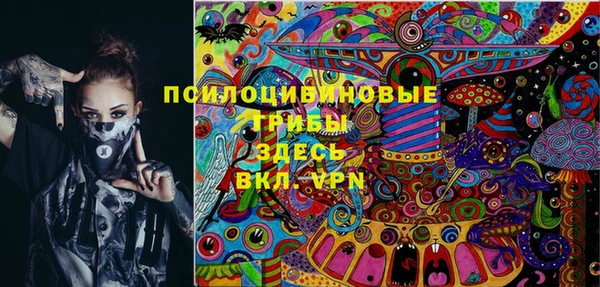 стафф Алексеевка