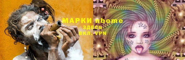 крисы Надым
