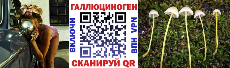 Псилоцибиновые грибы MAGIC MUSHROOMS  сайты даркнета состав  Краснообск  закладки 
